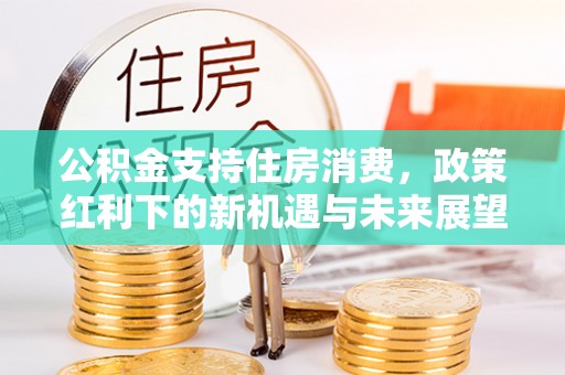 昌宁公积金支持住房消费，政策红利下的新机遇与未来展望
