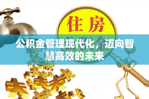 昌宁公积金管理现代化，迈向智慧高效的未来