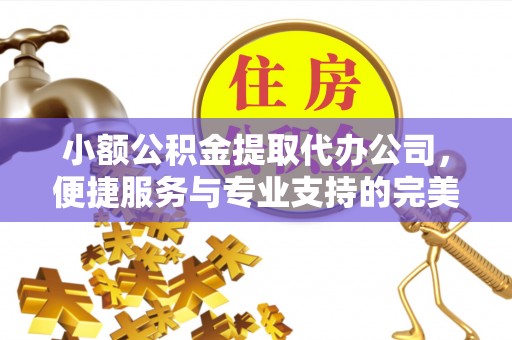 昌宁小额公积金提取代办公司，便捷服务与专业支持的完美结合