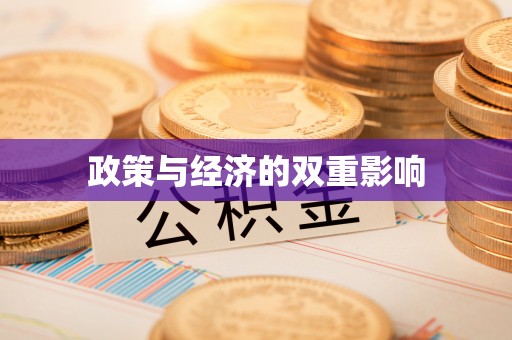 昌宁政策与经济的双重影响